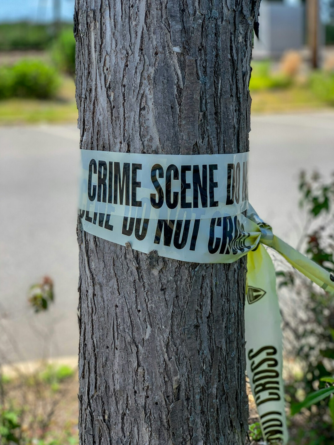mid century crime scene