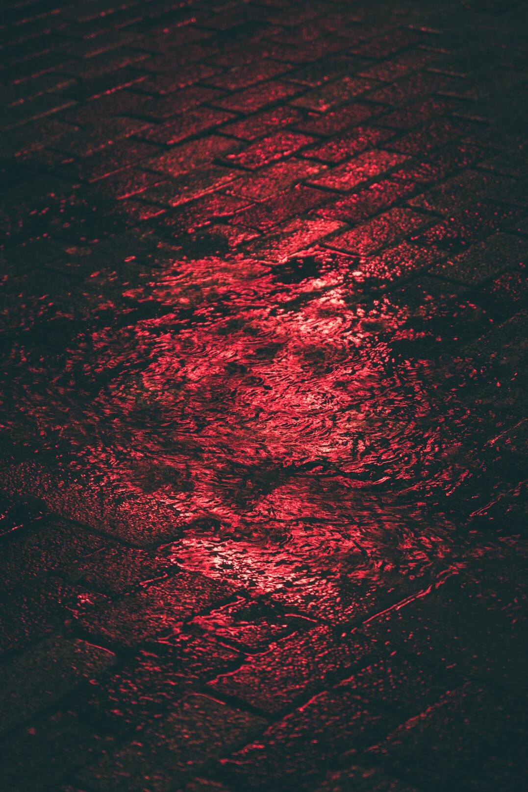 bloody traces night mystery