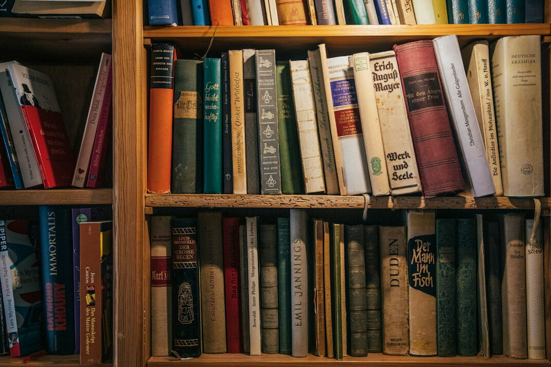 bookshelf with mystery novels
